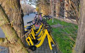 Отдых в феврале