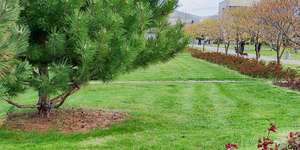 Анапа парк Ореховая роща