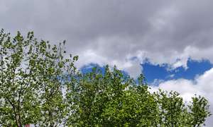 Новости края о коронавирусе