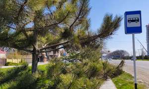 Движение транспорта во время карантина